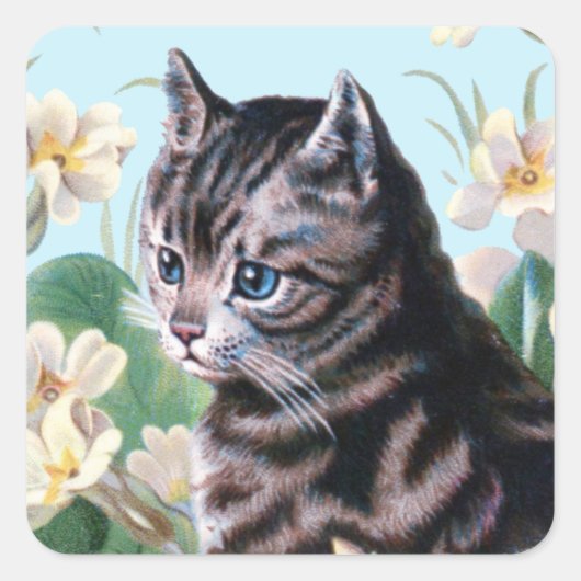 Sticker Carré Cute kitten - Art chat vintage (Devant)