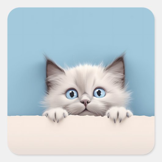 Sticker Carré Cute Kitten Peeking Ragdoll Chat (Devant)