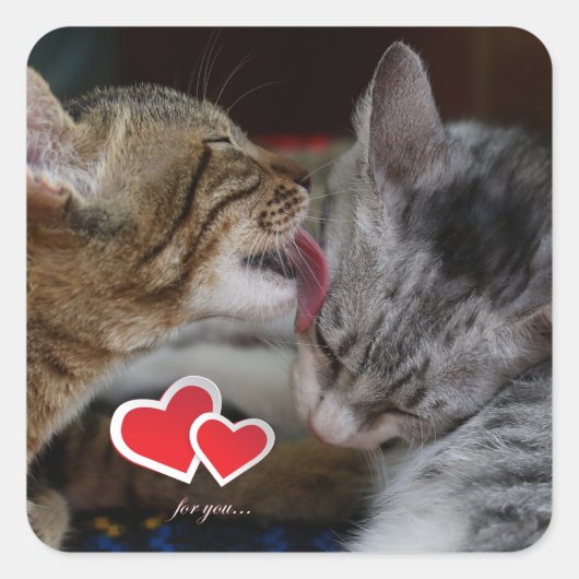 Sticker Carré Cute kittens (Devant)