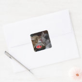 Sticker Carré Cute kittens (Enveloppe)