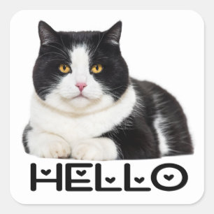 Sticker Carré Cute Kitty Noir Blanc Kitten Hello Chat