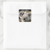 Sticker Carré Cute Ours Koala (Sac)