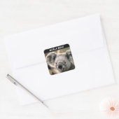 Sticker Carré Cute Ours Koala (Enveloppe)
