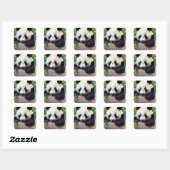 Sticker Carré Cute ours Panda (Feuille)