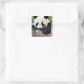 Sticker Carré Cute ours Panda (Sac)