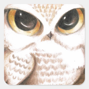 Sticker Carré Cute Owl
