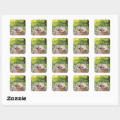 Sticker Carré Cute Perse Peeking Chat (Feuille)