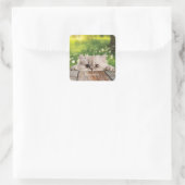 Sticker Carré Cute Perse Peeking Chat (Sac)