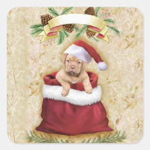 Sticker Carré Cute Puppy in a bag with Christmas toys