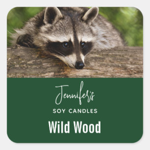 Sticker Carré Cute Raccoon reposant sur une bougie en rondins