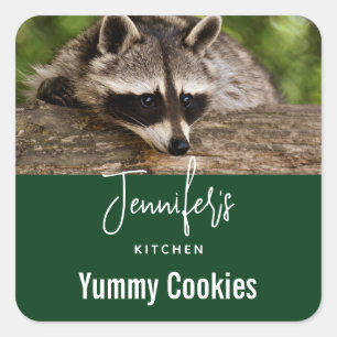 Sticker Carré Cute Raccoon reposant sur une chandelle en rondell