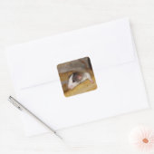 Sticker Carré Cute rat (Enveloppe)