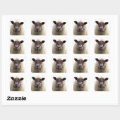 STICKER CARRÉ CUTE SHEEP (Feuille)