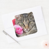 Sticker Carré Cute Tabby Chat Avec Rose (Enveloppe)
