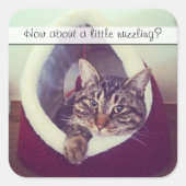 Sticker Carré Cute Tabby Kitty dans la cabane Modèle photo (Devant)