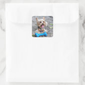 Sticker Carré Cute Terrier (Sac)