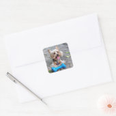 Sticker Carré Cute Terrier (Enveloppe)