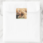 Sticker Carré Cute Tiger Stripe Kitten (Sac)