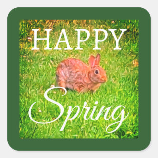 Sticker Carré Cute Wild Rabbit Photo Dark Green Happy Spring