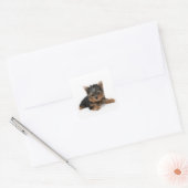 Sticker Carré Cute Yorkshire Terrier Puppy (Enveloppe)