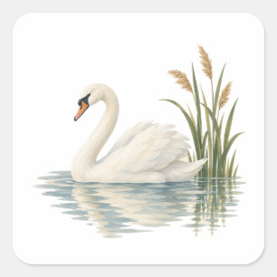 Sticker Carré Cygne parmi les roseaux de l'étang