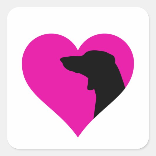 Sticker Carré Dachshund (Devant)