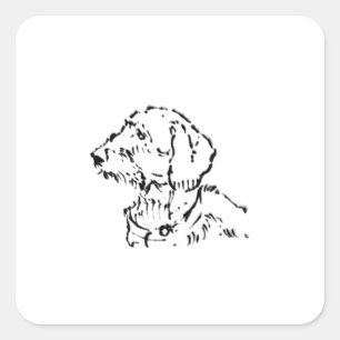 Sticker Carré Dachshund à poil dur