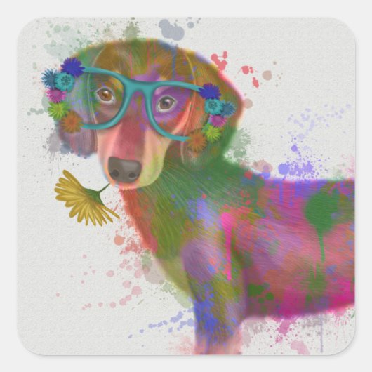 Sticker Carré Dachshund & Lunettes Rainbow Splash (Devant)