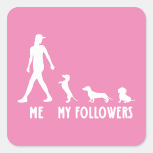 Sticker Carré Dachshund Mes Followers Chemise Dachshund Femmes A