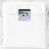 Sticker Carré Dachshund miniature 3 (Sac)