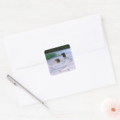 Sticker Carré Dachshund miniature 3 (Enveloppe)