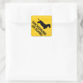 Sticker Carré Dachshund [poil métallique] Xing (Sac)