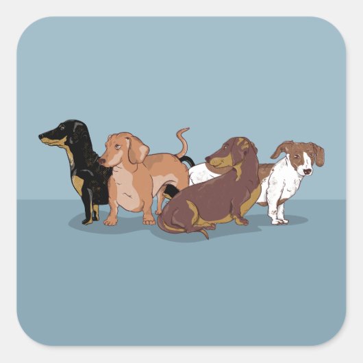 Sticker Carré Dachshunds (Devant)