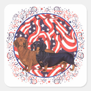 Sticker Carré Dachshunds Drapeau Patriotique