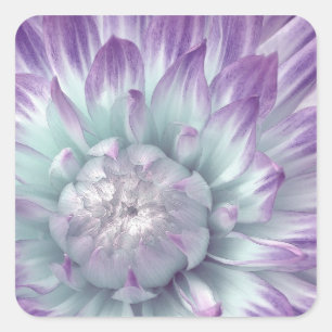 Sticker Carré Dahlia bleu et violet - Sceau d'enveloppe Mariage