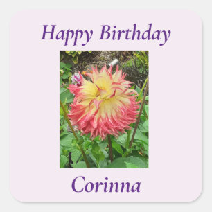 Sticker Carré Dahlia rose et jaune