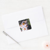 Sticker Carré Daisies de Working (Enveloppe)