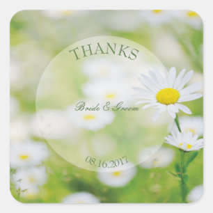Sticker Carré Daisy Daisies Fleur Floral Mariage d'été