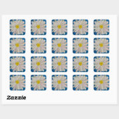Sticker Carré Daisy de Crazy (Feuille)