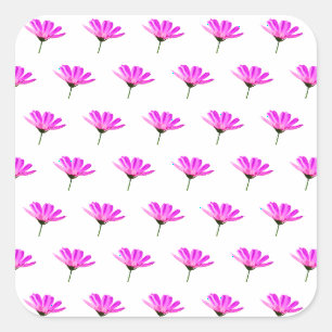 Sticker Carré Daisy rose