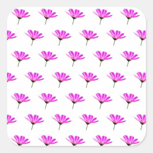 Sticker Carré Daisy rose (Devant)