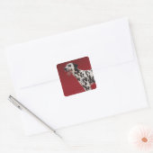 Sticker Carré Dalmatien 6 (Enveloppe)