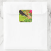 Sticker Carré Damselfly et Rose (Sac)