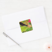 Sticker Carré Damselfly et Rose (Enveloppe)