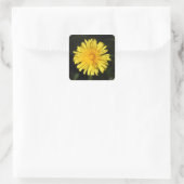 Sticker Carré Dandelion (Sac)