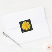 Sticker Carré Dandelion (Enveloppe)