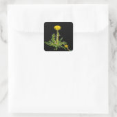 Sticker Carré Dandelion fleurit (Sac)