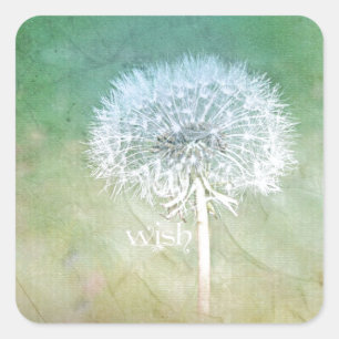 Sticker Carré Dandelion Wish Dreamy Design