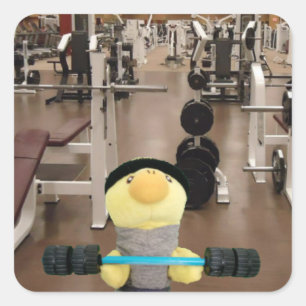Sticker Carré Danny Duck au gym