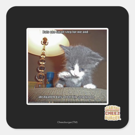 Sticker Carré Dats une petite fourrure d'étape je (Devant)